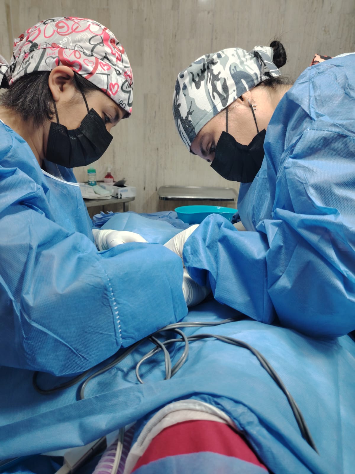 Cirugía veterinaria